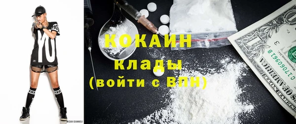 стафф Аркадак