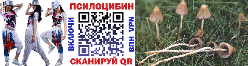 Галлюциногенные грибы Magic Shrooms  ОМГ ОМГ зеркало  Тюкалинск 
