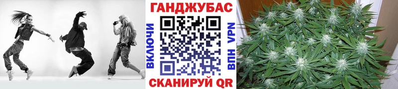 купить закладку  Тюкалинск  Бошки марихуана сатива 